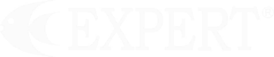 Expert