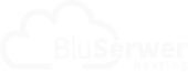 BluSerwer - logo