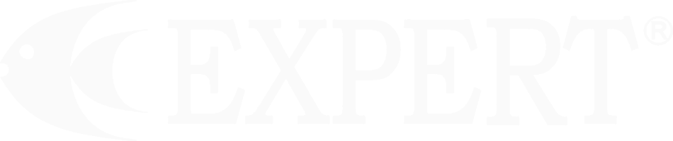 expert - logo